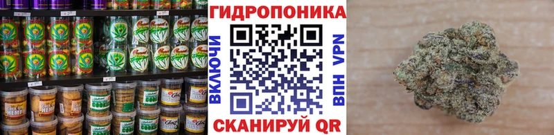 закладки  Арзамас  Печенье с ТГК конопля 