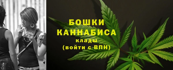 мдпв Верхний Тагил