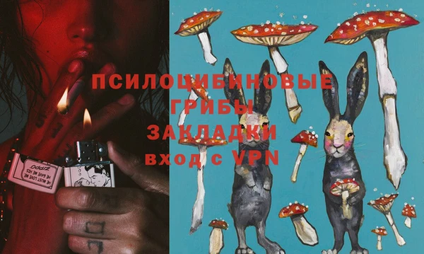 apvp Верея