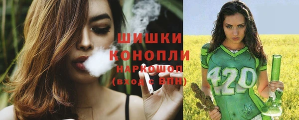 apvp Верея