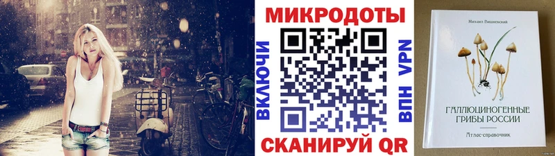 Псилоцибиновые грибы Psilocybe  Арзамас 